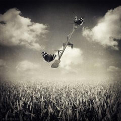 Locura y segregación